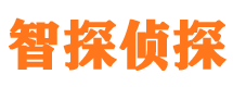 三原市私家侦探